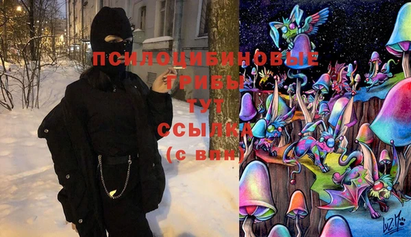 каннабис Гусев
