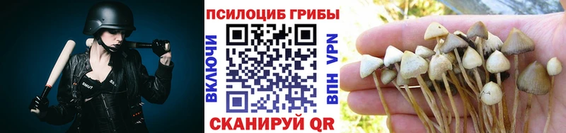 Галлюциногенные грибы Psilocybe  Находка 