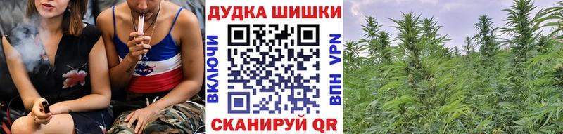 цена наркотик Находка mega как зайти Конопля SATIVA & INDICA